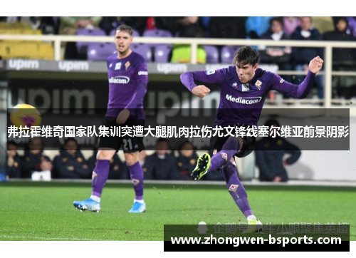 弗拉霍维奇国家队集训突遭大腿肌肉拉伤尤文锋线塞尔维亚前景阴影